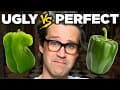 Do Ugly Foods Taste Worse? Taste Test