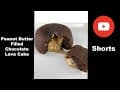 Peanut Butter Filled Chocolate Lava Cake #Shorts