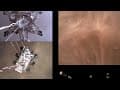 Perseverance Rover’s Descent and Touchdown on Mars (Official NASA Video)