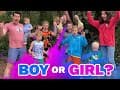 Gender Reveal! Boy or Girl?