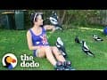 Woman Gives Toys to a Wild Magpie — and He Invites His Friends Over to Play | The Dodo Wild Hearts