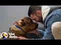 Guy Promises He's Not Going To Keep His Foster Dog... | The Dodo Foster Diaries