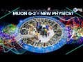 Why the Muon g-2 Results Are So Exciting!