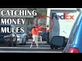 Catching Money Mules ft. Mark Rober