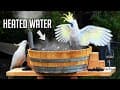 I Made A Hot Tub For Wild Birds