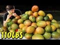 100+lbs Wumpa Fruit Eat-Off! (ft. Crash Bandicoot)