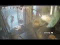 New videos of Beirut massive explosion emerging online