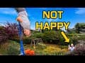 The Ultimate Garden Swing