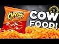 Food Theory: Cheetos Are Cow Food!