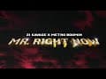 21 Savage x Metro Boomin ft Drake - Mr. Right Now (Official Audio)