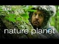 Nature Planet | Narrated by Adam Sandler