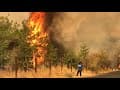 Northern California wildfire evening update | August 19, 2020